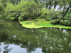 -西溪南古村落景区