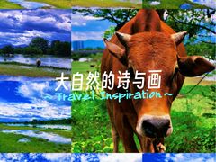 -西溪南古村落