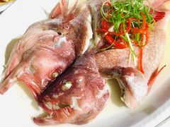 野生东星斑-胖大嫂渔家排档·全海景餐厅(渔村店)