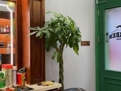 -595barbershop美式油头