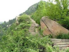 -王顺山国家森林公园