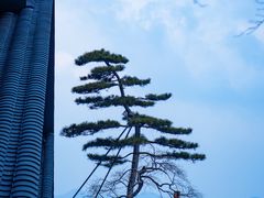 -东钱湖旅游度假区