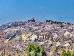 -白水寺森林公园