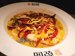 -乾园(天河城店)