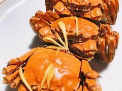 -蟹榭·本帮江浙菜·蟹宴(五角场合生汇商场店)