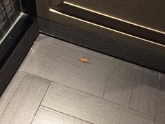 -深圳四季酒店·馥自助餐厅