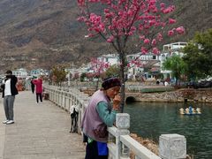 -小普陀