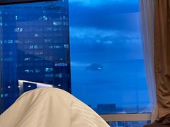 -上海龙之梦万丽酒店