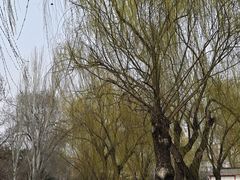 -丰台花园