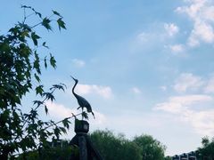 -上海醉白池公园