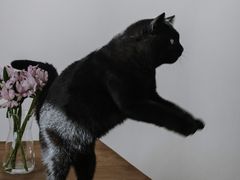 -春风十里咖啡馆