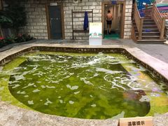 -南宫温泉水世界