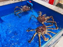 -帝皇海海鲜豆捞(桐泾商务广场店)