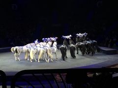 -珠海横琴长隆《卡卡虎奇遇记》