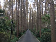 -上海怡沁园度假酒店