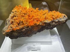 -湖南省地质博物馆