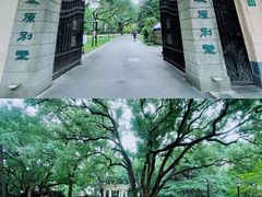 -叶叶菩提·晋福宫