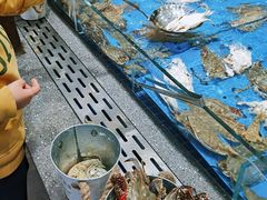 -半岛听涛蒸汽海鲜自助(K11店)