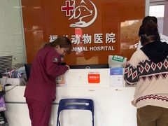 -瑞派福兴宠物医院犬猫全科·骨科·中西医结合(河东店)