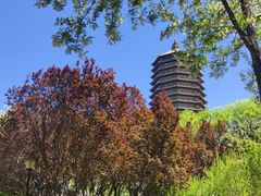 -玲珑塔公园