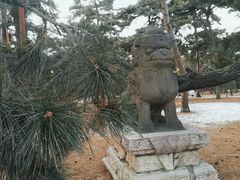 -北陵公园