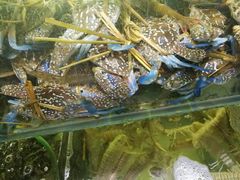 -覃记海鲜美食餐厅