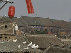 -康百万庄园