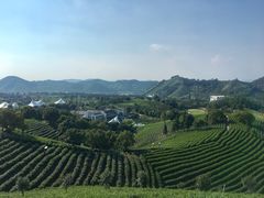 -帐篷客·溪龙茶谷度假酒店