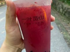 -一叶觅山(半边街店)