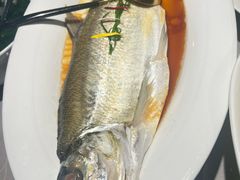 -醉庐·新上海菜(南京西路店)