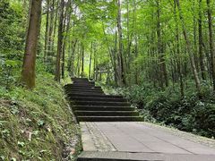 -凤栖山