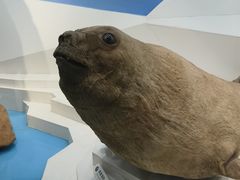 -青岛海底世界-水族馆