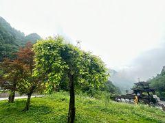 -娄山关景区
