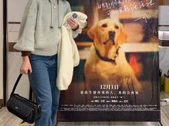 -英皇电影城(英皇集团中心IMAX店)