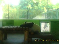 小帅哥-石家庄市动物园