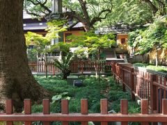 -普陀山风景名胜区-法雨禅寺