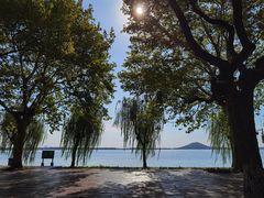 -东湖生态旅游风景区