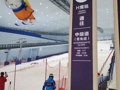 -哈尔滨热雪奇迹