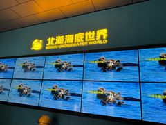 -北海海底世界