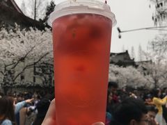 -鸡鸣赐茶(鸡鸣寺路店)