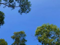 -梧桐山风景名胜区