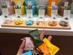 -三亚亚龙湾红树林度假酒店
