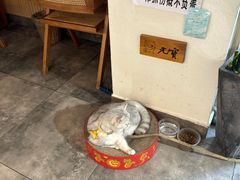 -冰拾叁(新都店)