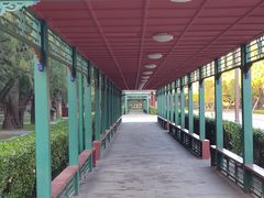 -北京市劳动人民文化宫(太庙)