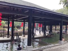 -三江森林温泉度假区