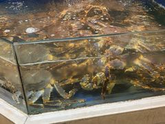 -海景壹号大酒店(滨湖店)