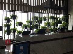-无锡苏宁JW万豪酒店-大堂酒廊