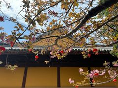 -龙华寺