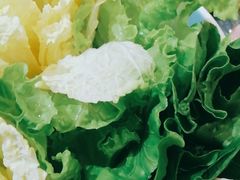 -探窝·竹笙椰子鸡(杨箕店)