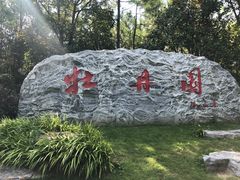 -上海海湾国家森林公园